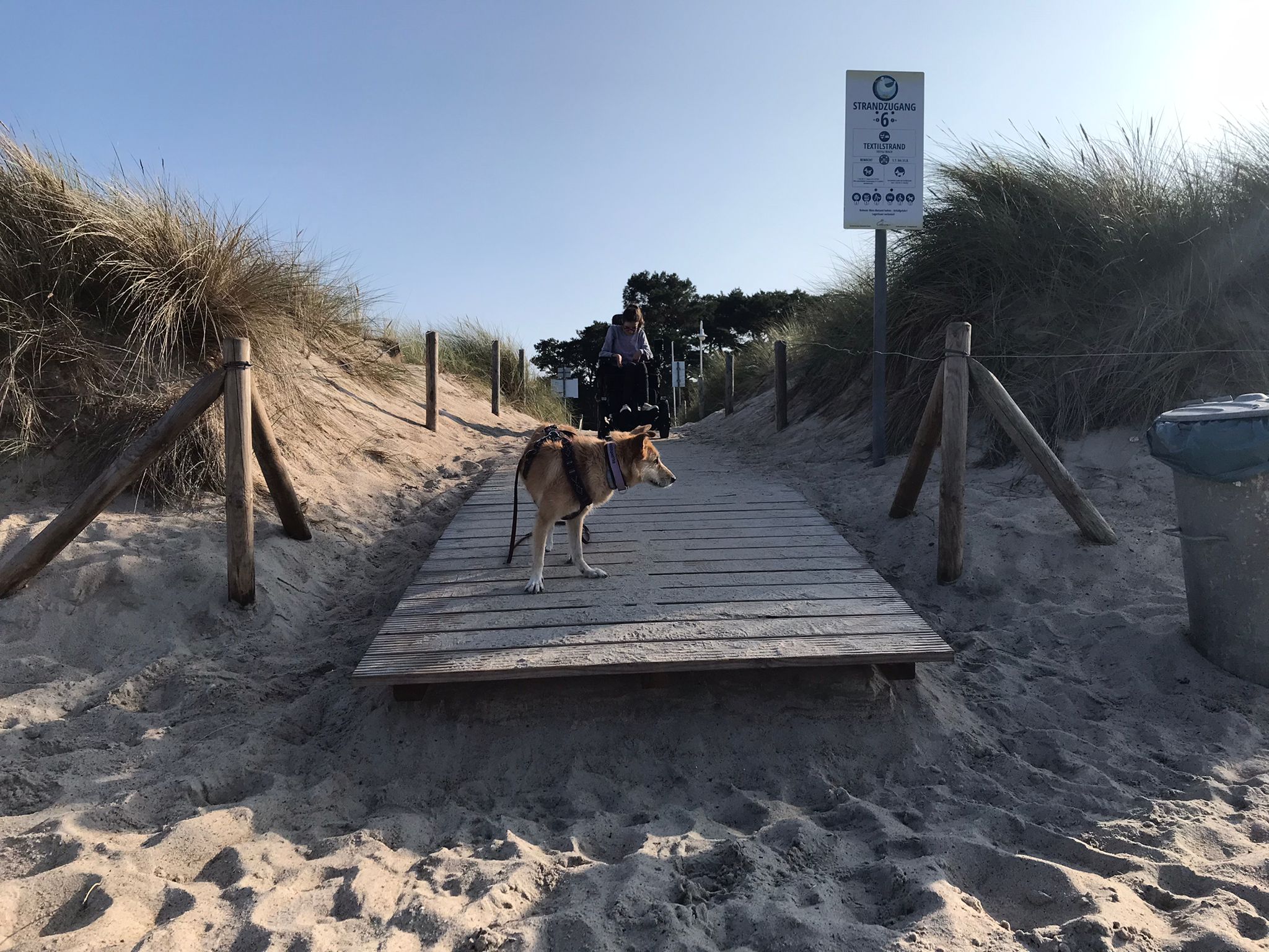 Strandkulisse. Ein Hund steht auf einem Holzsteg ganz vorne. Ein paar Zentimeter weiter vorne ist ein Absatz zu erkennen, über den ein Rollstuhl fallen würde, wenn er dort weiterfahren würde. Weiter hinten, wo das Foto von den Lichtverhältnissen sehr dunkel wird, steht Laura im Elektrorollstuhl.